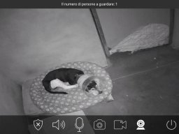 Telecamere nei box